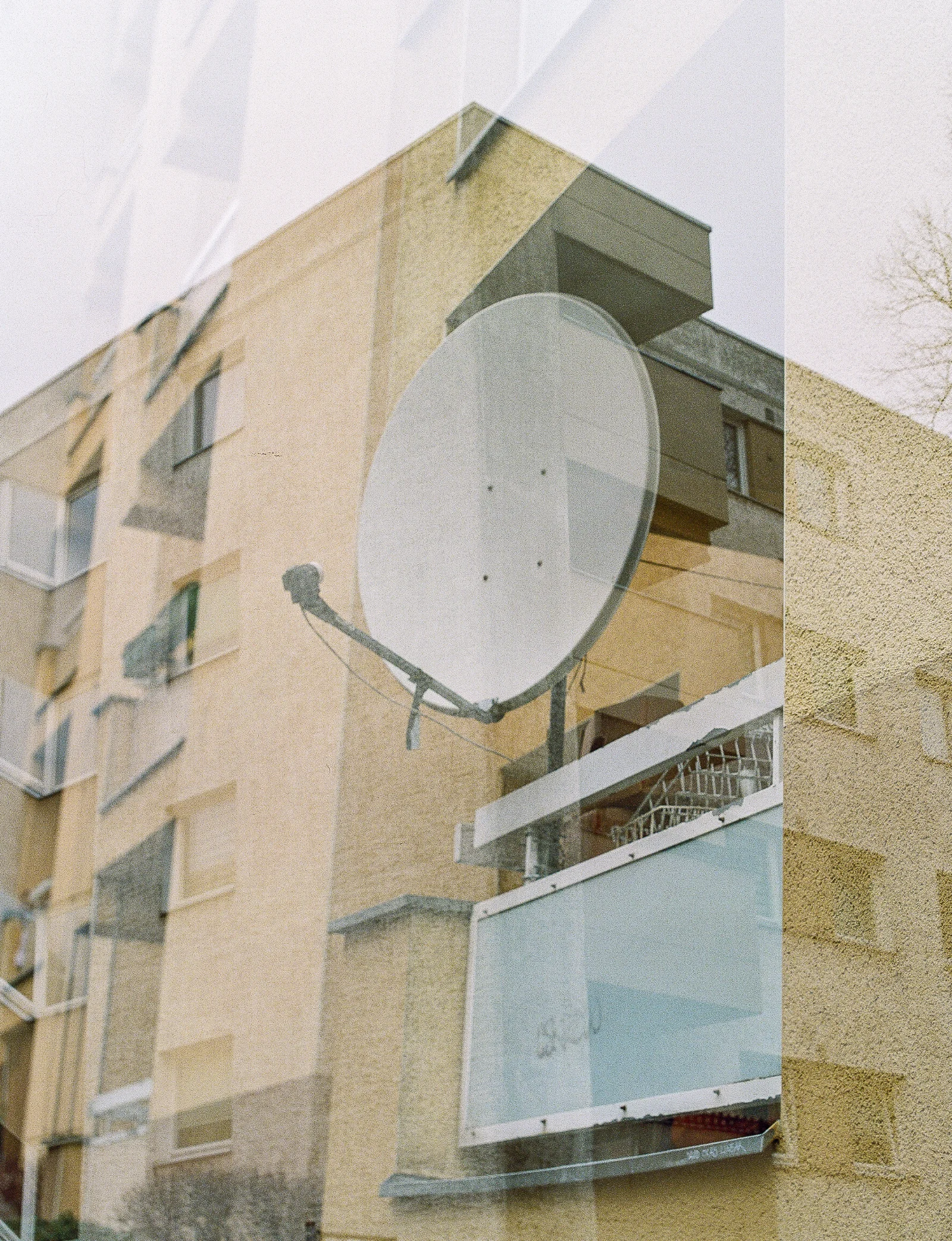 Portra 800 · Berlin · 2019 · 5