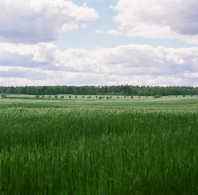Fuji NPS 160 (expired) · Brandenburg · 2019