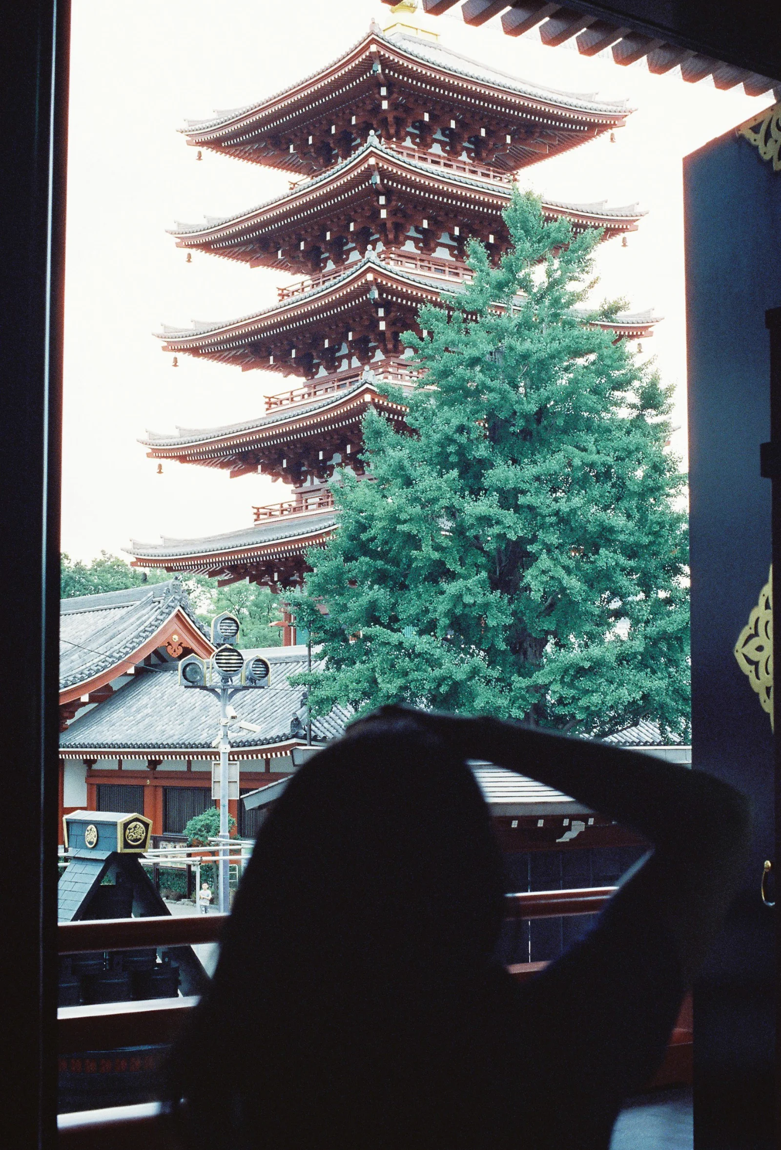 Cinestill 800T · Tokyo · 2019 · 35