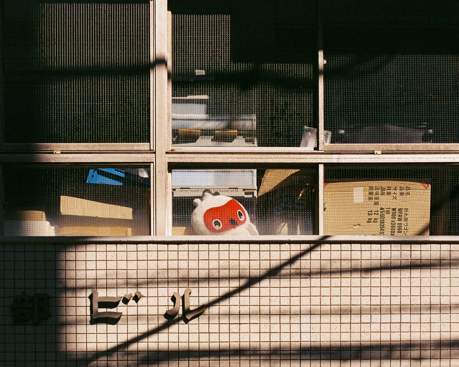 Fuji C200 · Tokyo · 2019 · 3