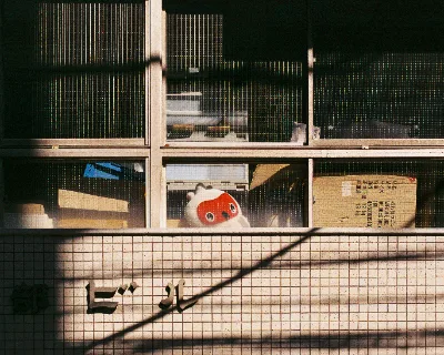 Fuji C200 · Tokyo · 2019 · 3