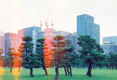 Cinestill 800T · Tokyo · 2019 · 21