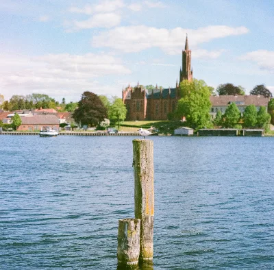 Fuji NPS 160 (expired) · Brandenburg · 2019 · 10