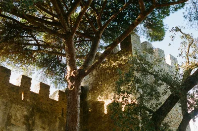 Portra 400 · Lisboa · 2023 · 4