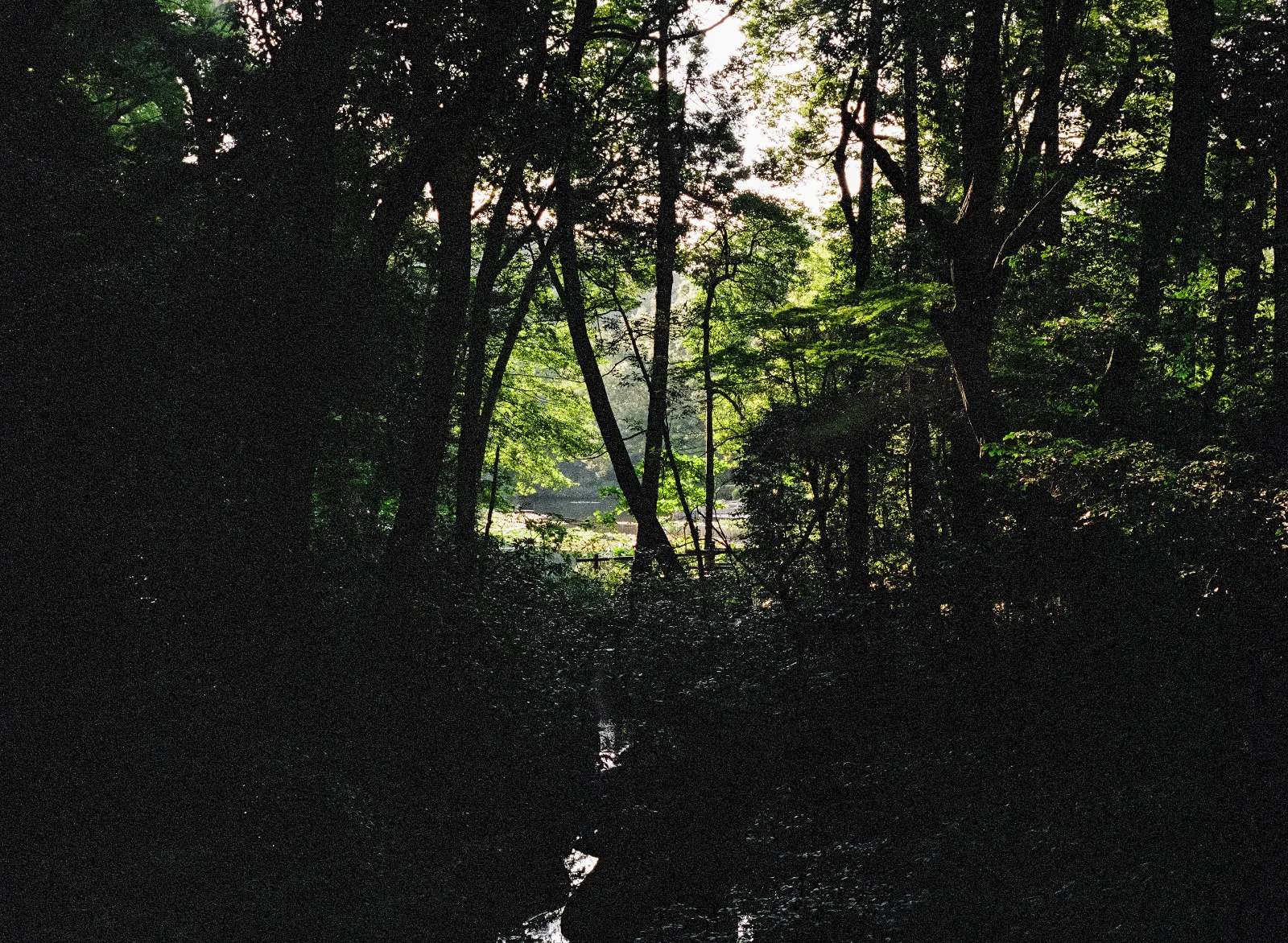 Fuji 400H · Tokyo · 2019 · 2