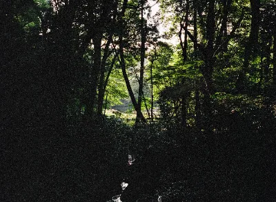 Fuji 400H · Tokyo · 2019 · 2