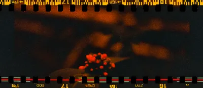 Fuji C200 (reversed/redscale) · Berlin · 2019 · 2