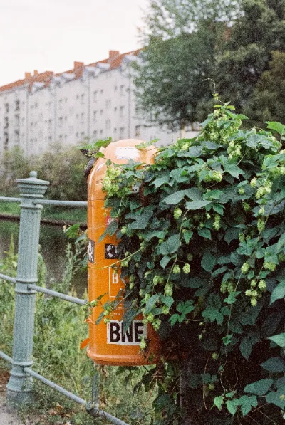 Cinestill 800T · Berlin · 2019 · 2