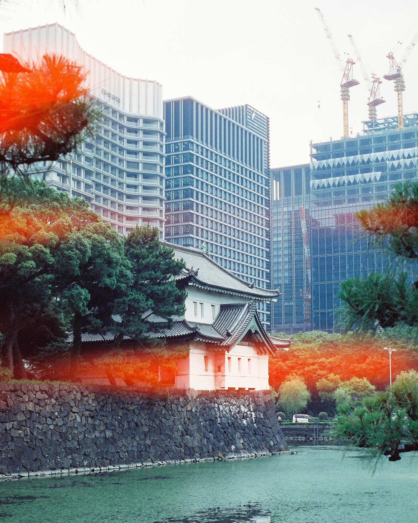 Cinestill 800T · Tokyo · 2019 · 22