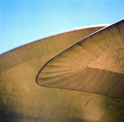 Fuji NPS 160 (expired) · Brandenburg · 2019 · 9