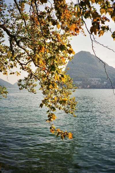 Film Never Die 400 · Lugano · 2019 · 2