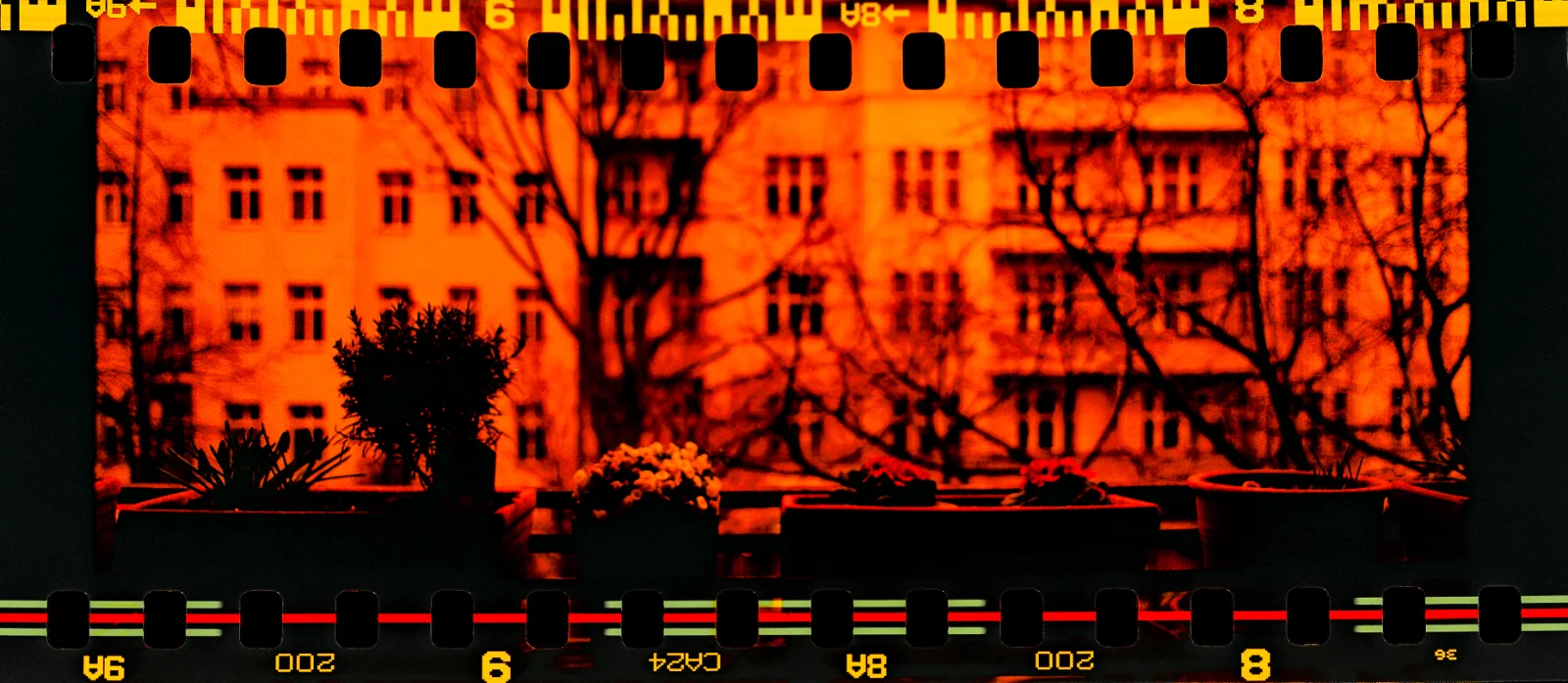 Fuji C200 (reversed/redscale) · Berlin · 2019