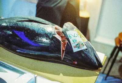 Cinestill 800T · Tokyo · 2019 · 31