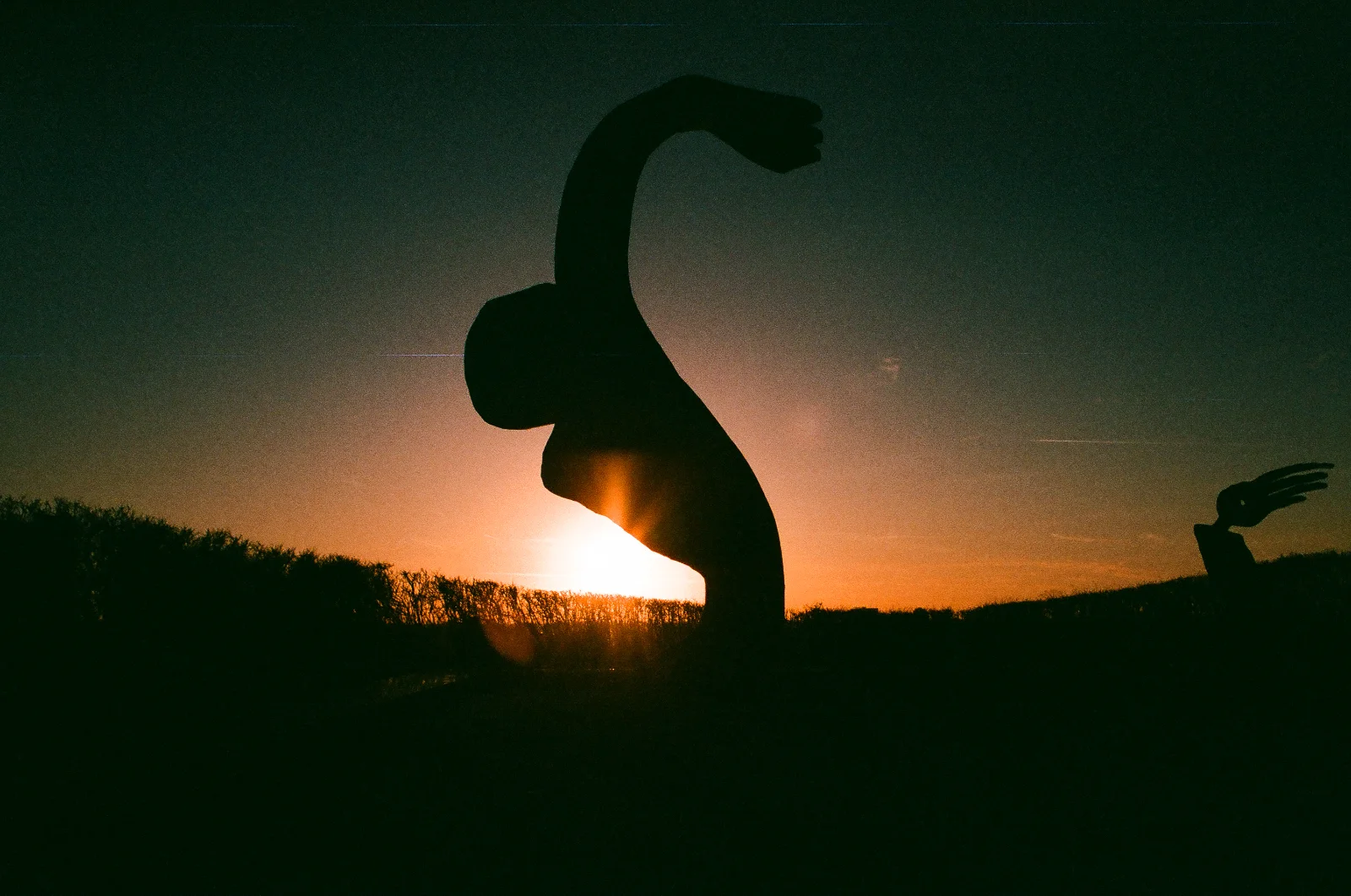 Superia X-tra 400 · Berlin · 2019