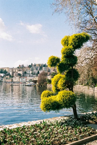 Fuji C200 · Lugano · 2019