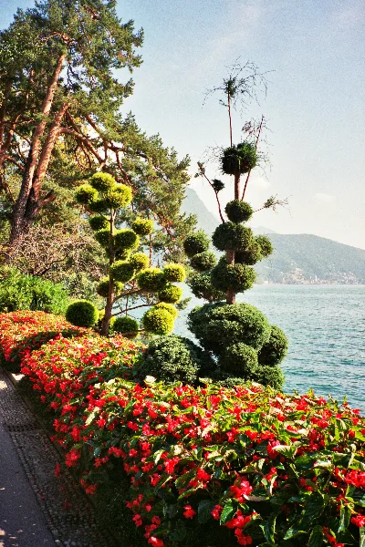Film Never Die 400 · Lugano · 2019 · 4