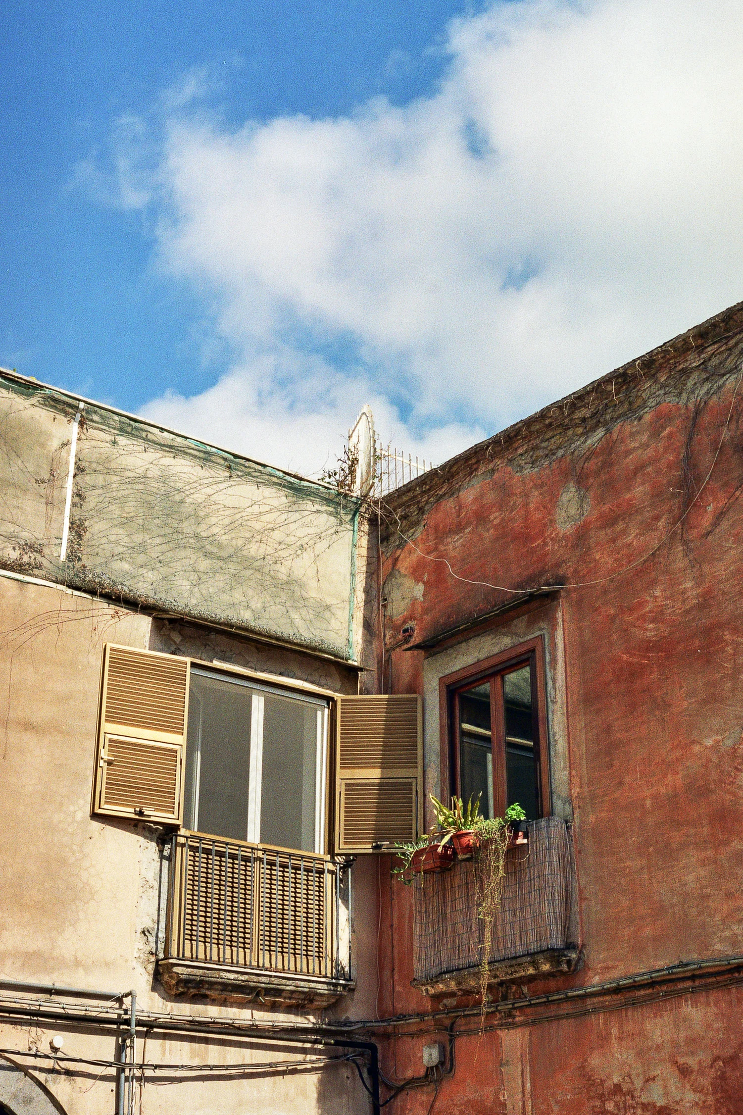 Pro Image · Napoli · 2019 · 3