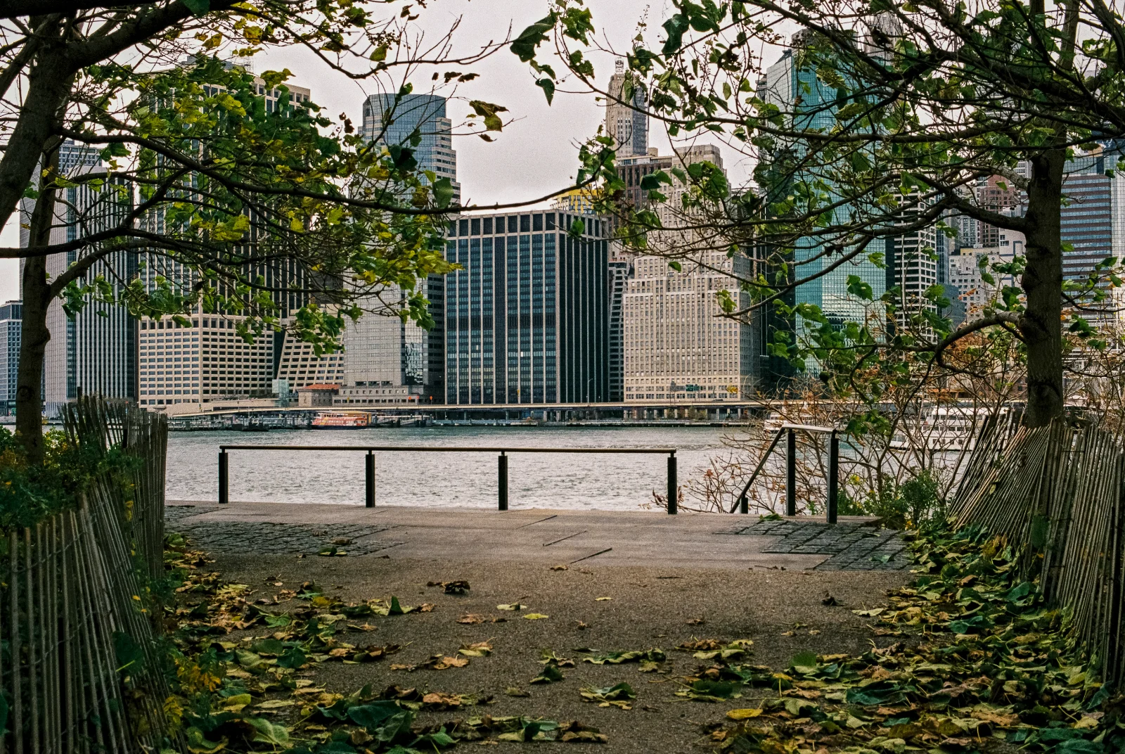 Superia 200 · New York, NY · 2018