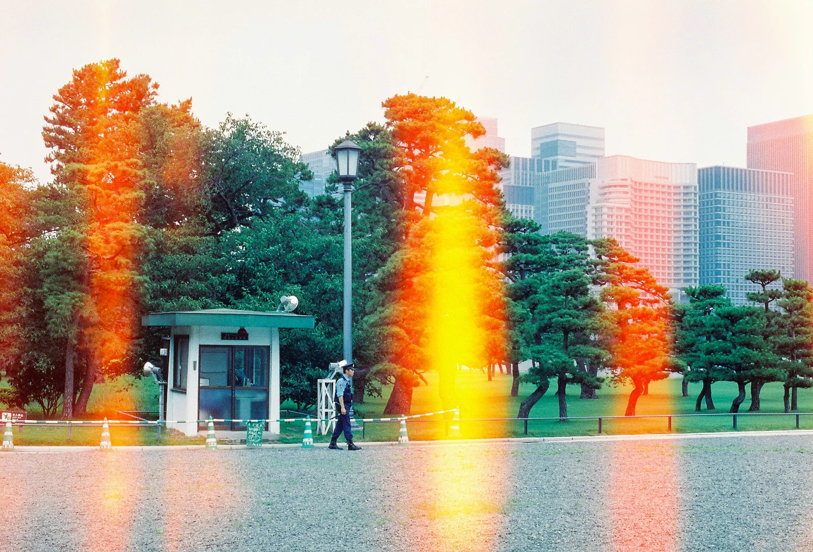 Cinestill 800T · Tokyo · 2019 · 20