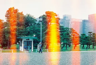 Cinestill 800T · Tokyo · 2019 · 20