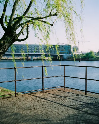 Fuji 160NS · Berlin · 2019