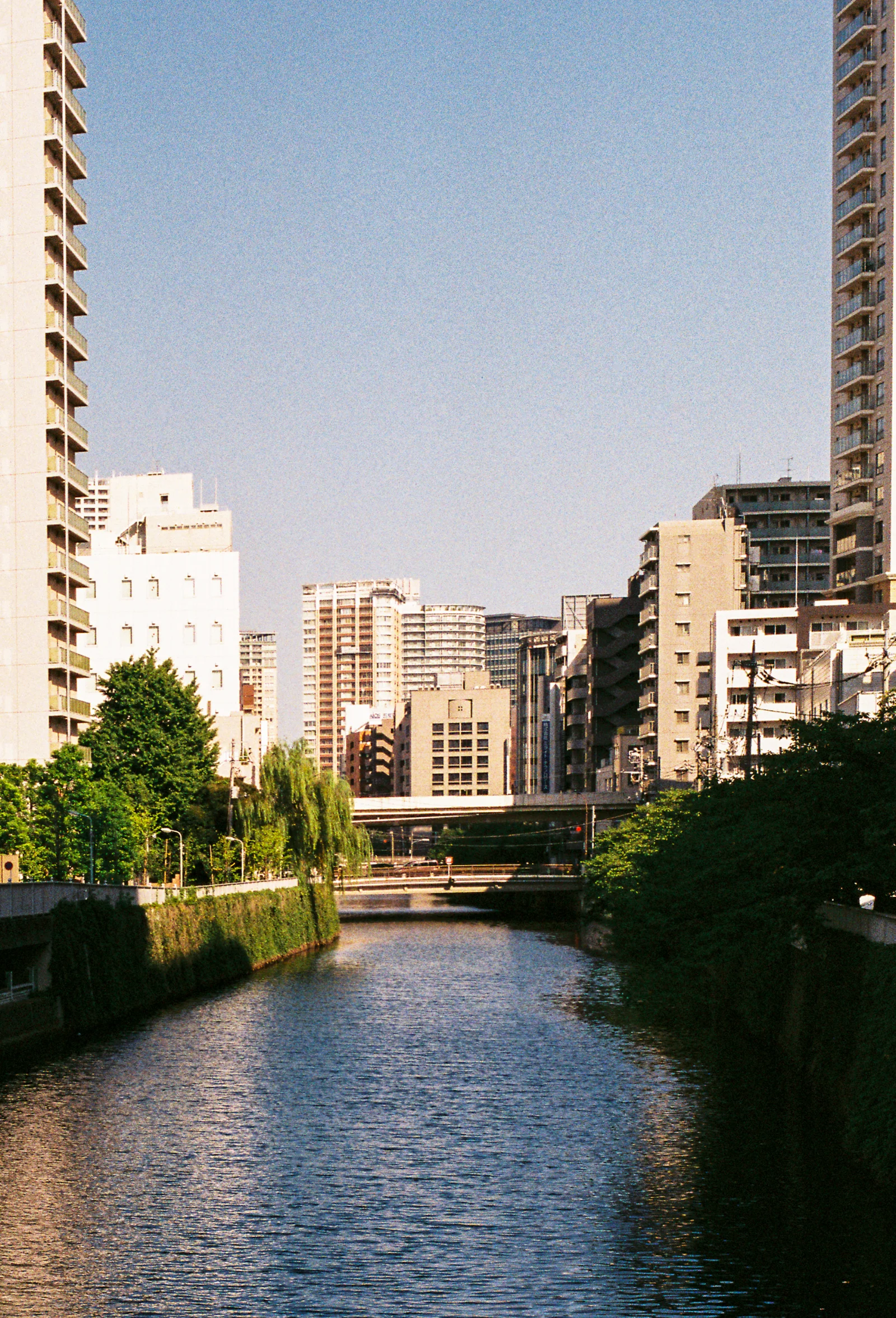 Fuji C200 · Tokyo · 2019 · 7