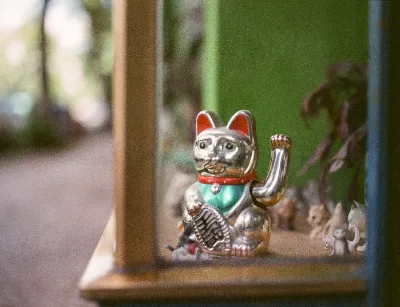 Kodak Vericolor III (expired) · Berlin · 2019 · 5
