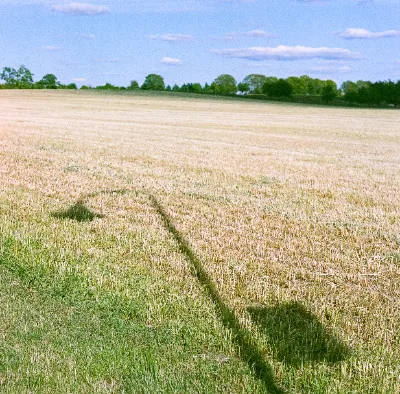 Fuji NPS 160 (expired) · Brandenburg · 2019 · 7
