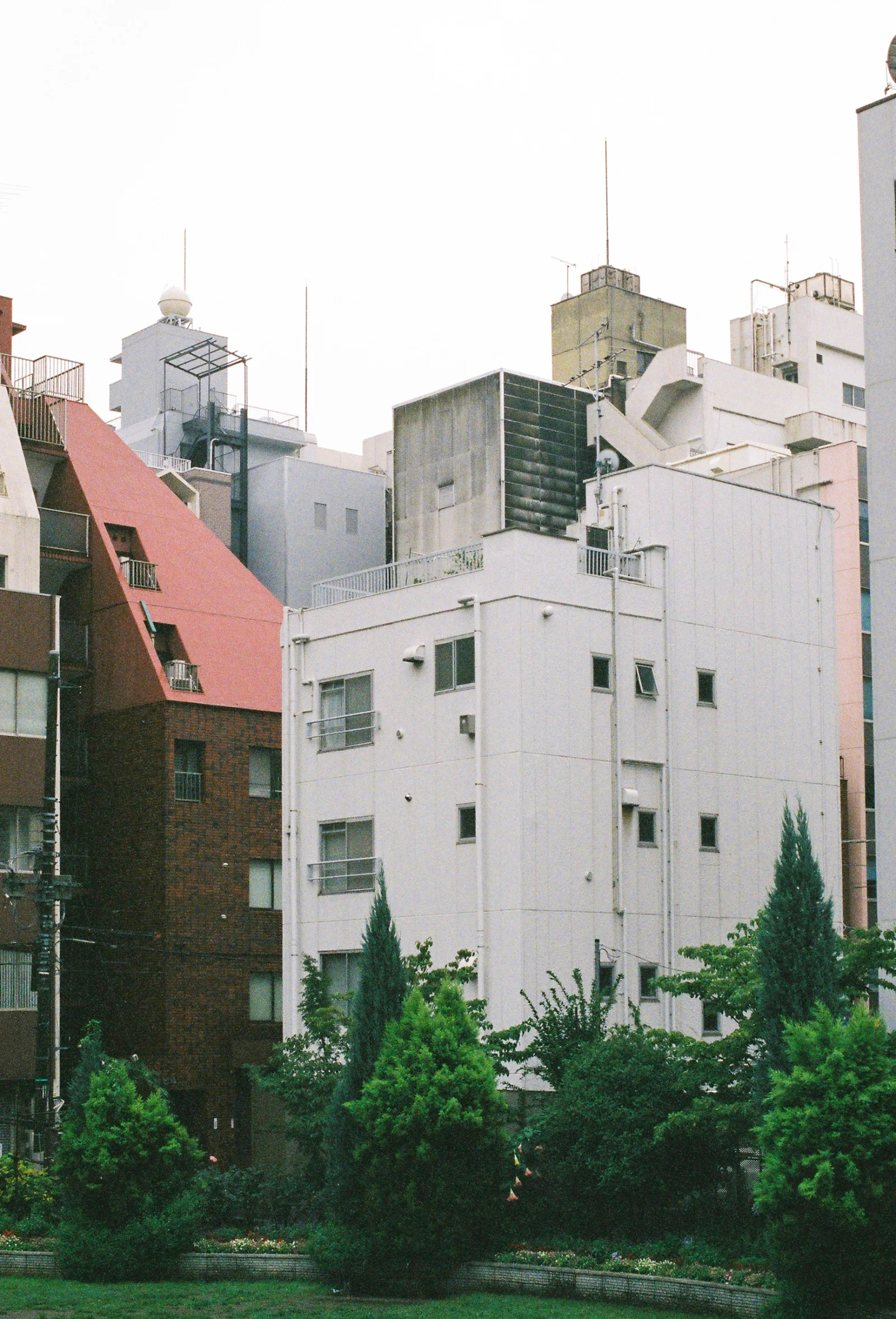Superia Venus 800 · Tokyo · 2019 · 10