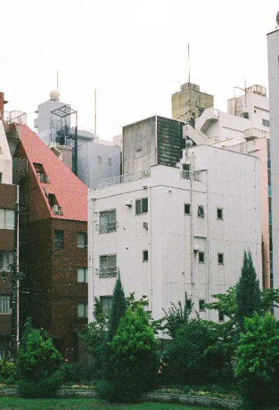 Superia Venus 800 · Tokyo · 2019 · 10