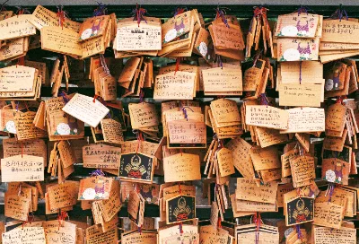 Fuji C200 · Tokyo · 2019 · 14