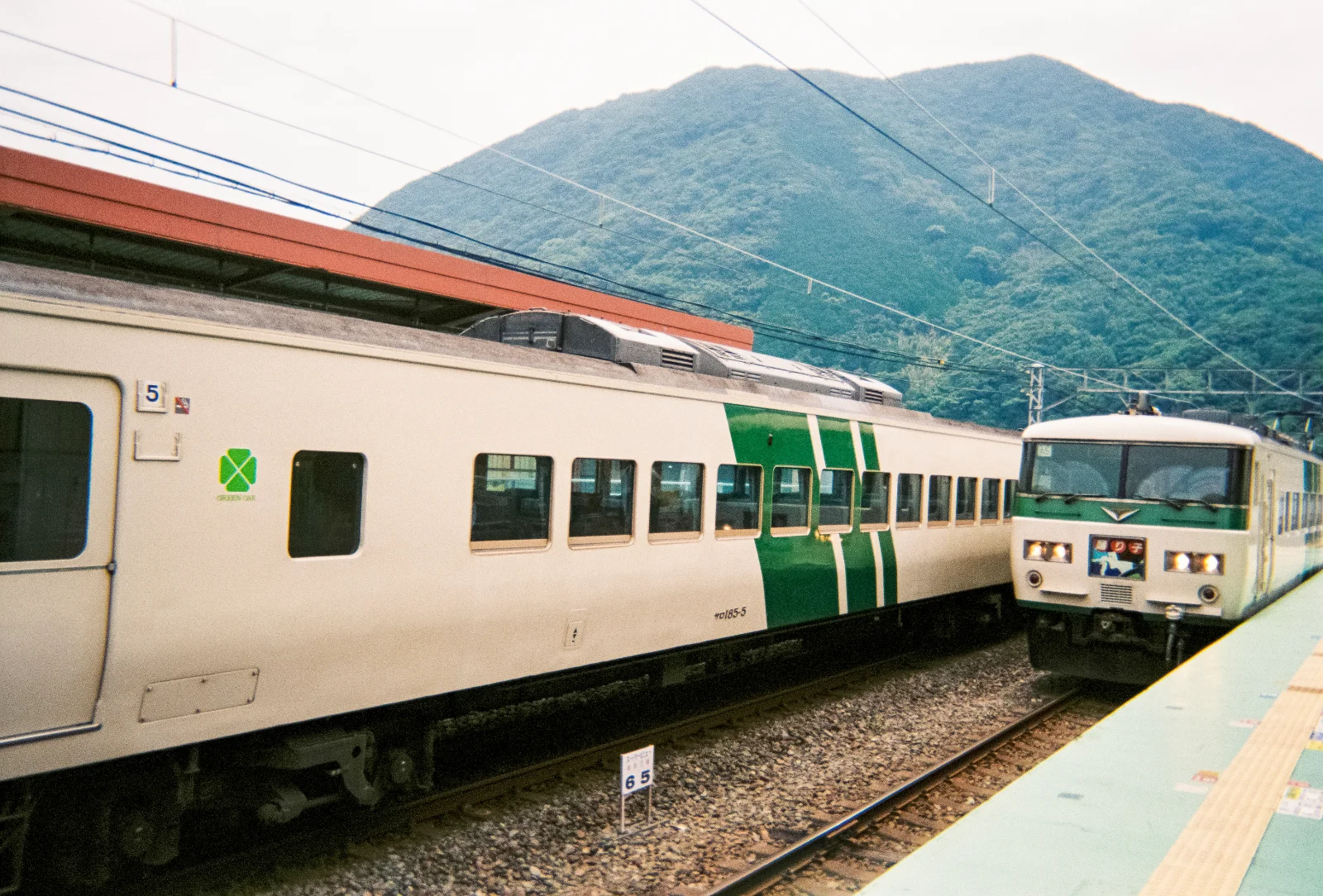 Fuji SimpleAce · Izu Peninsula · 2019