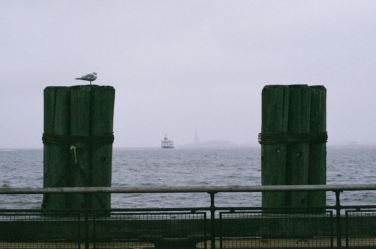 Superia X-tra 400 · New York · 2019
