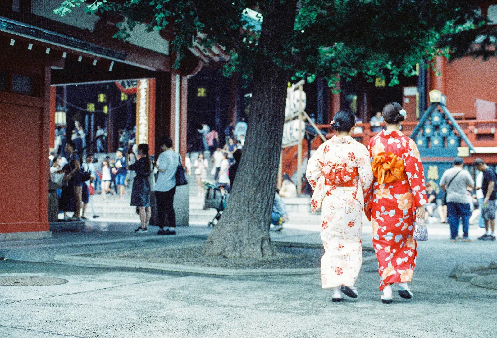 Cinestill 800T · Tokyo · 2019 · 27