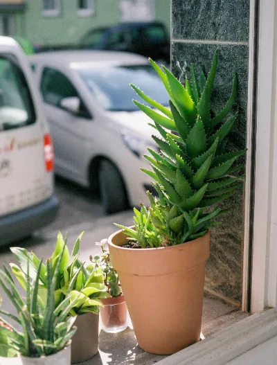 Fuji 400H · Berlin · 2019 · 2