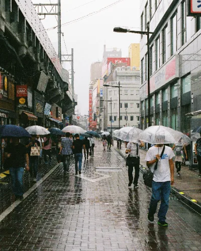 Superia Venus 800 · Tokyo · 2019 · 4