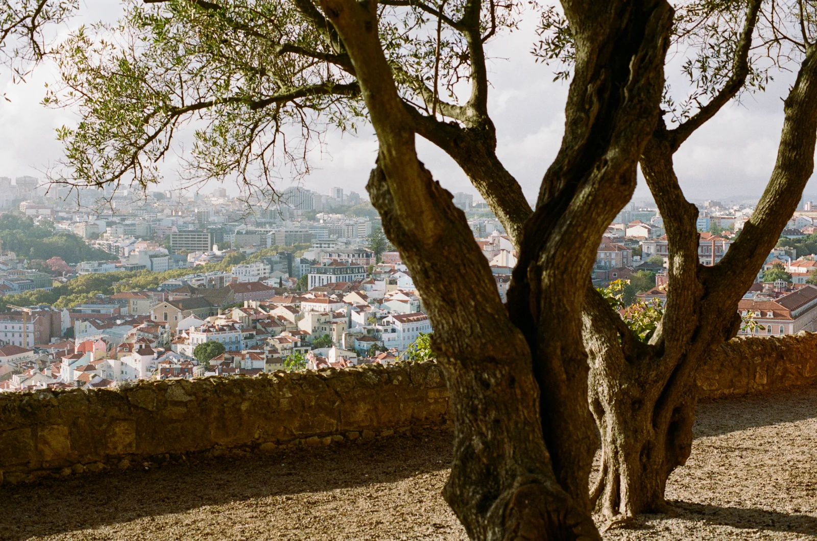 Portra 400 · Lisboa · 2023 · 3