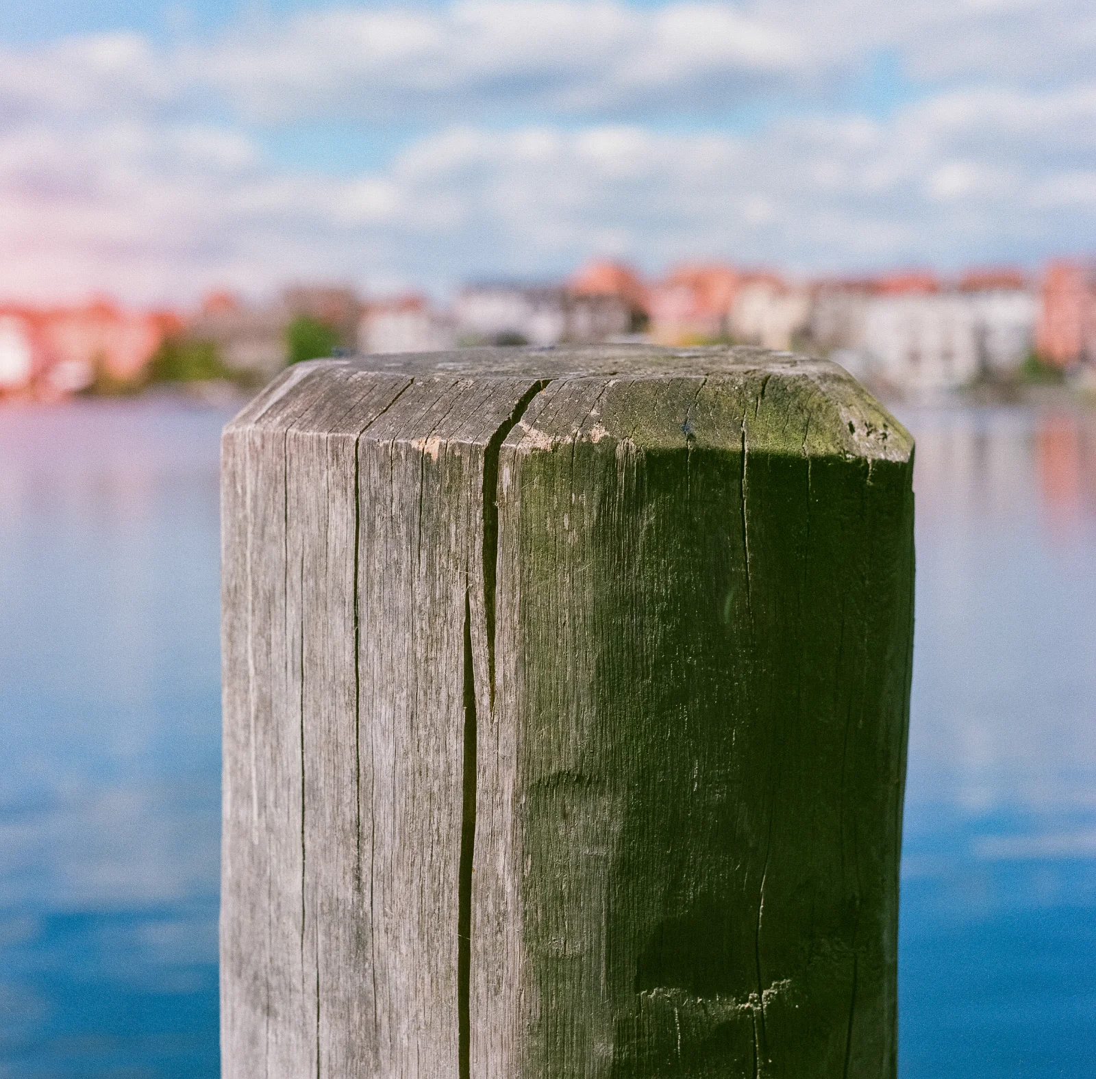 Fuji NPS 160 (expired) · Brandenburg · 2019 · 5