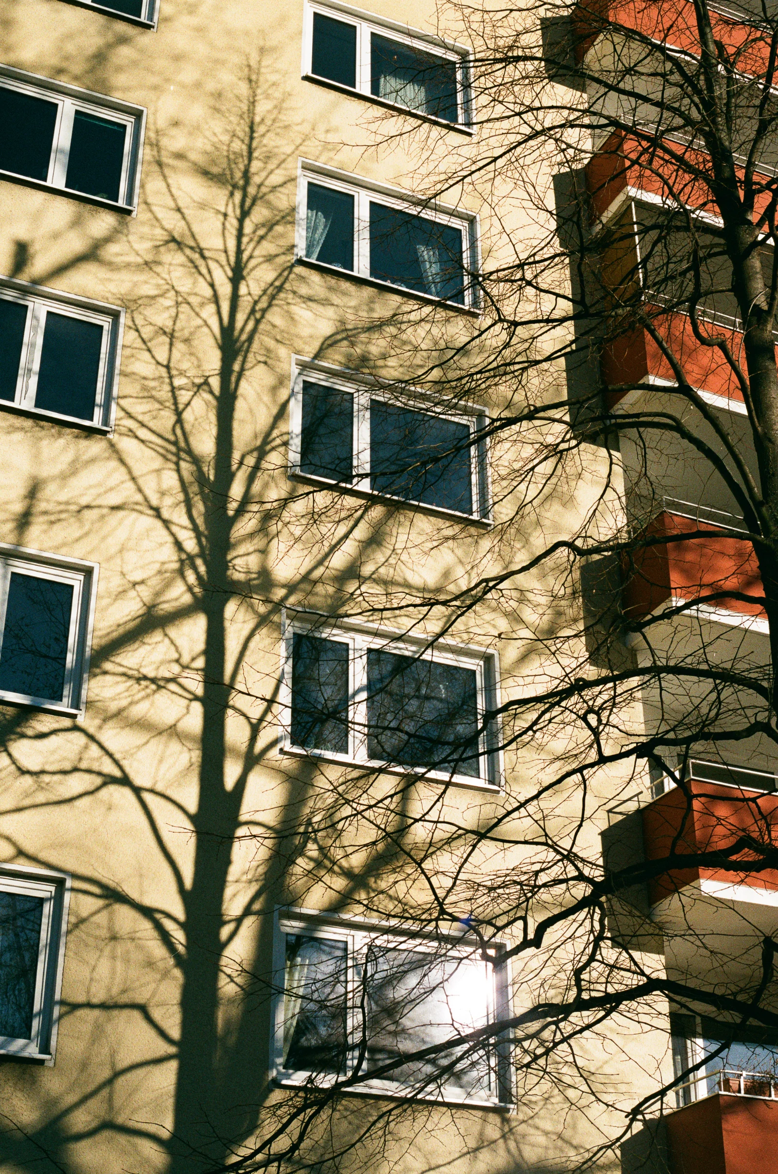 Fuji C200 · Berlin · 2019 · 7