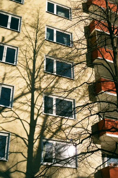 Fuji C200 · Berlin · 2019 · 7