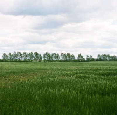 Fuji NPS 160 (expired) · Brandenburg · 2019 · 2