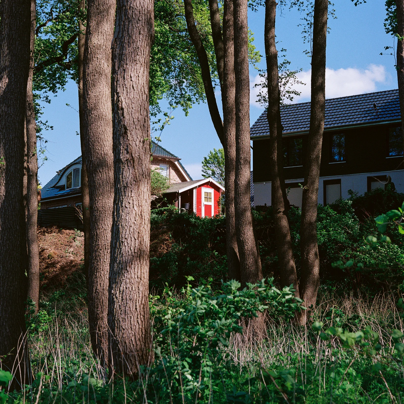 Lomo 400 · Brandenburg · 2019