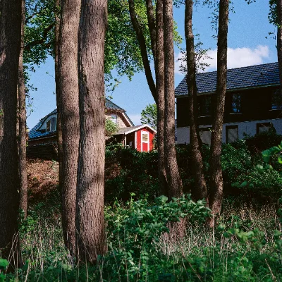 Lomo 400 · Brandenburg · 2019