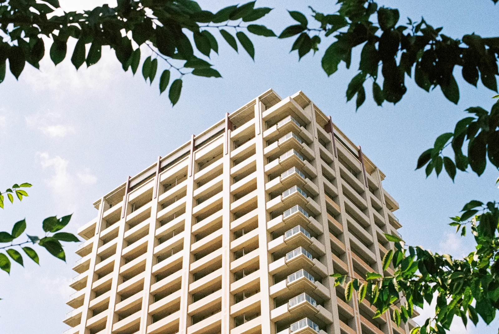 Kodak Gold · Tokyo · 2019 · 5