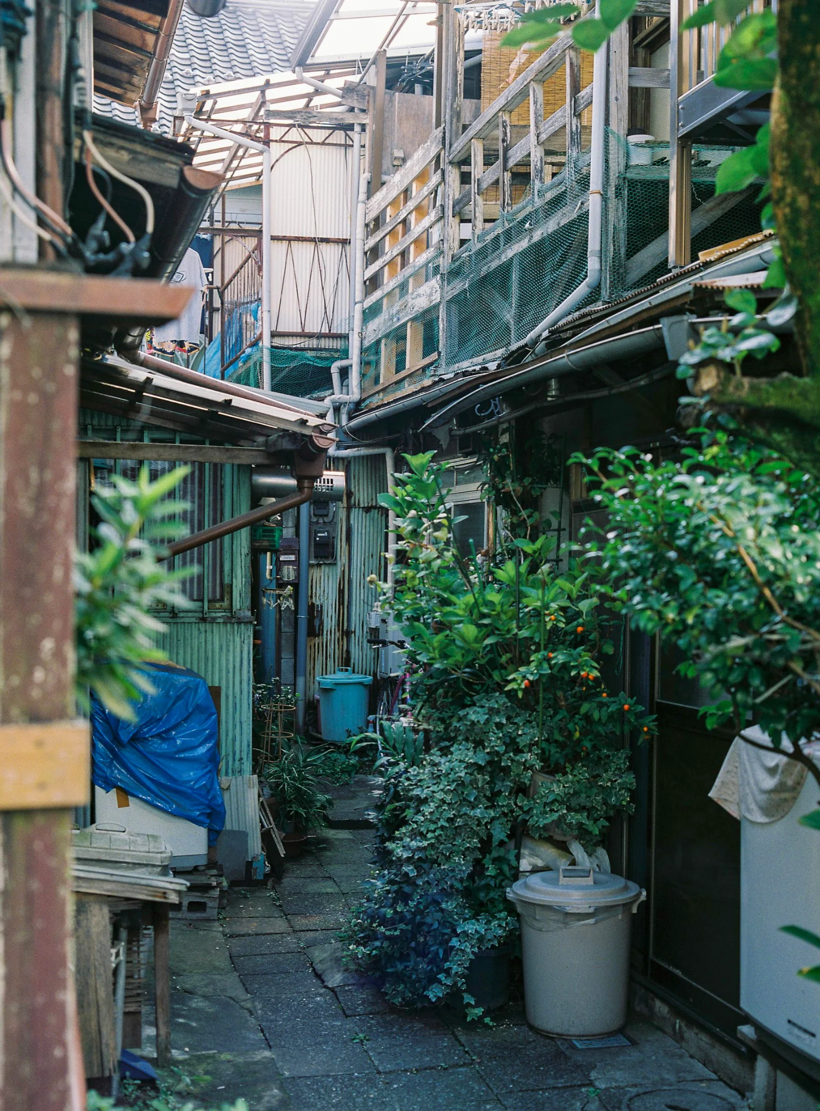Fuji 400H · Tokyo · 2019 · 5
