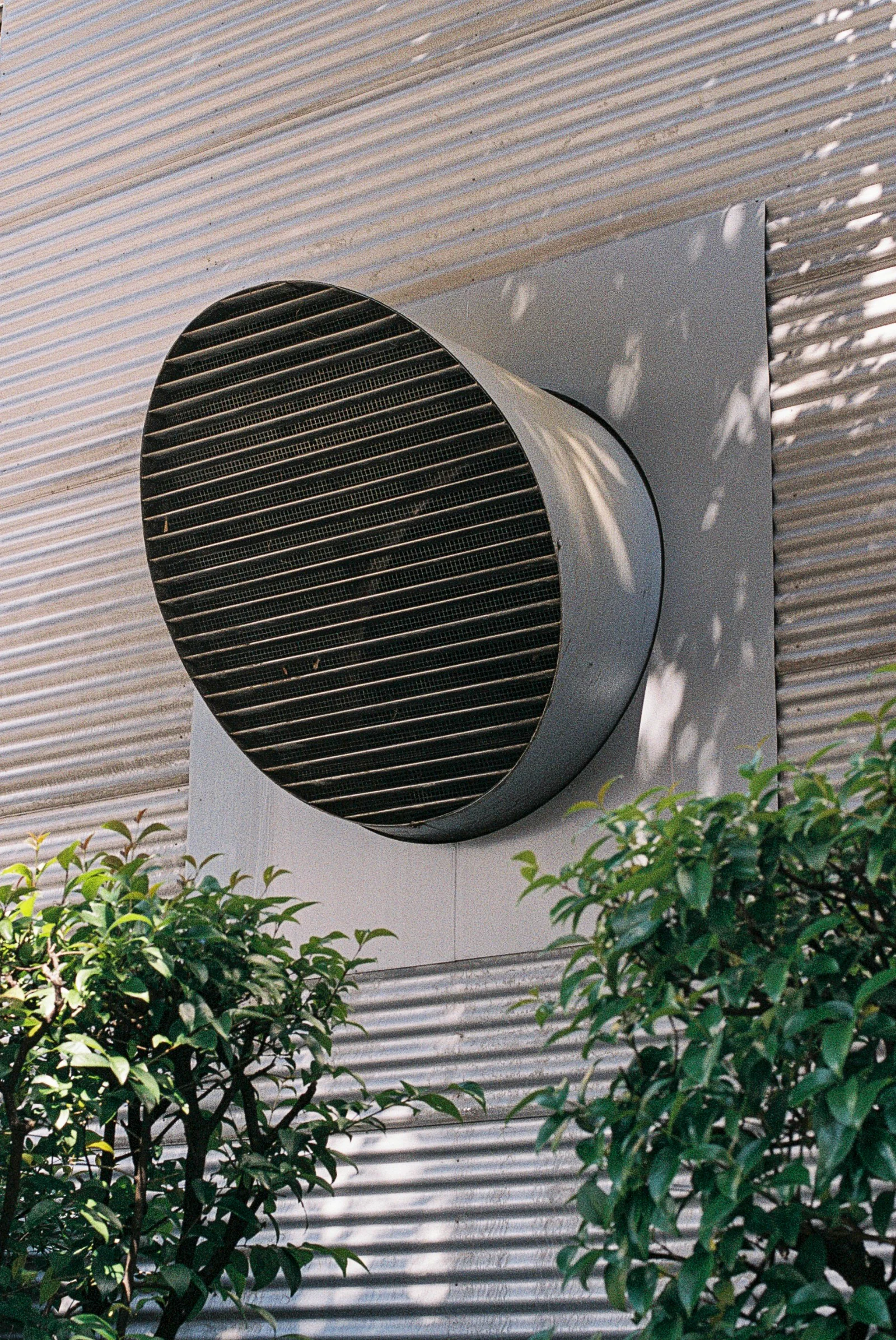 Superia 400 · Lugano · 2019