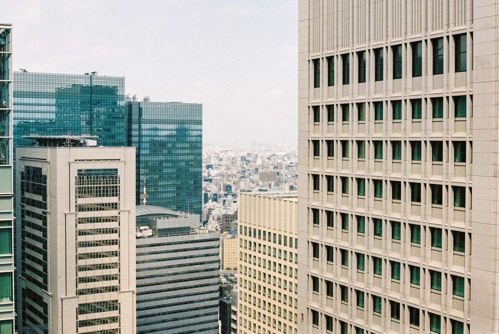 Portra 400 · Tokyo · 2019 · 5