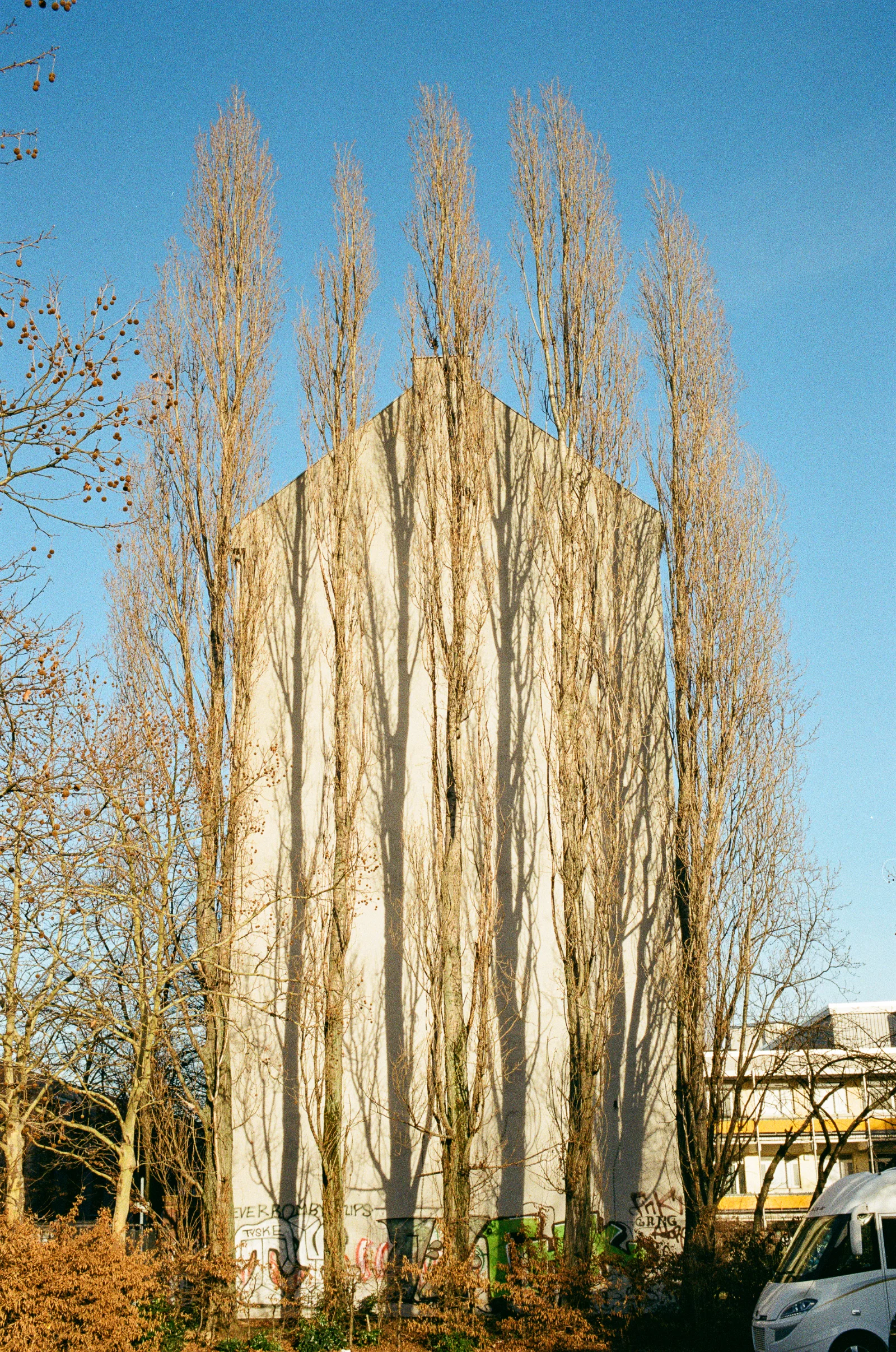 ColorPlus · Berlin · 2019 · 2