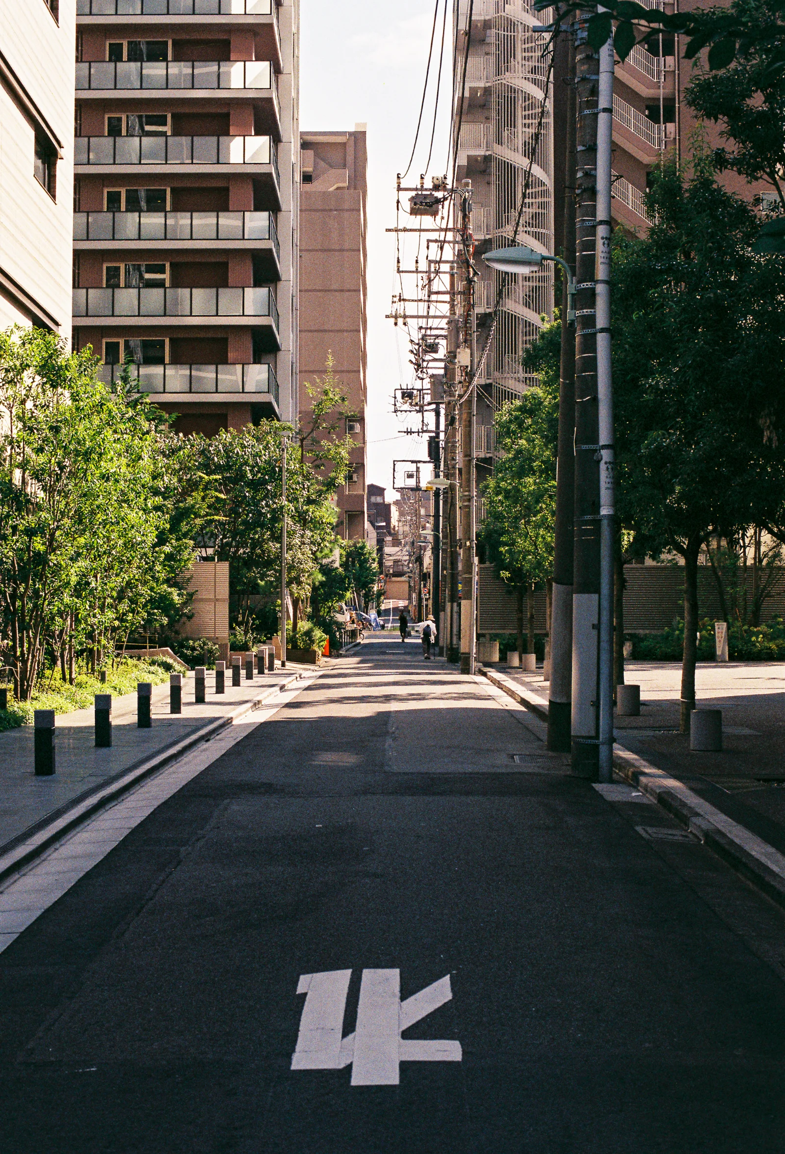 Fuji C200 · Tokyo · 2019 · 6