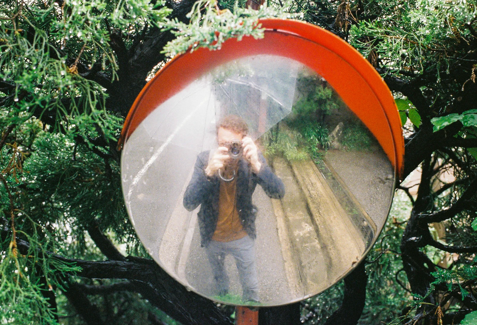 Superia Venus 800 · Tokyo · 2019 · 6